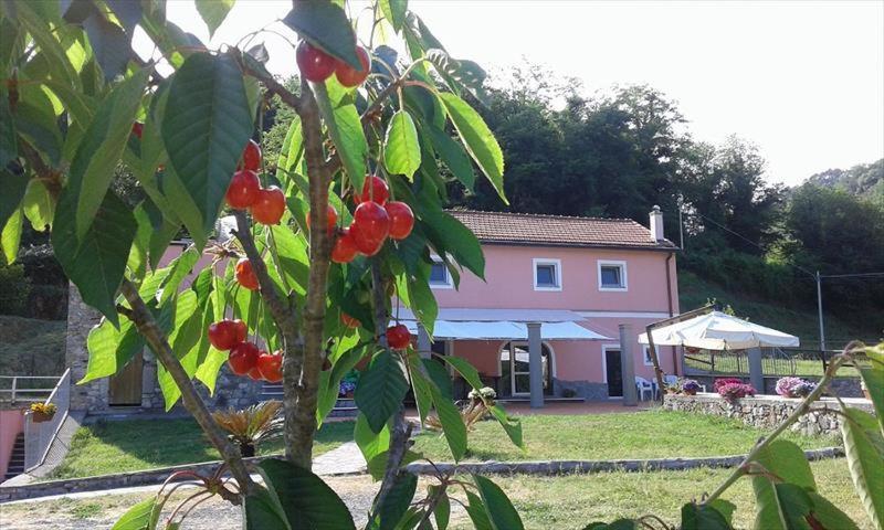 Valeriano Lunense B&B La Casina Rosa La Spezia מראה חיצוני תמונה